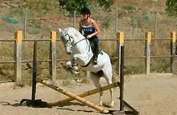The local horse riding school at La Cala
