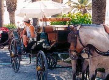 horse and trap in Nerja