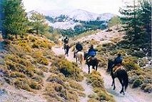 Horse riding and trekking