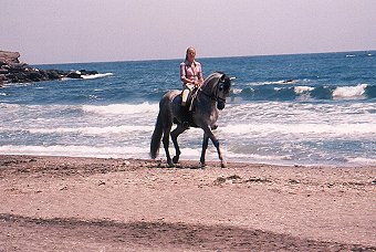 Beach rides, Horse riding in La Herradura